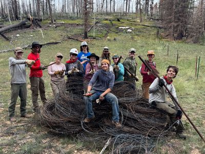 Group of people in outdoor work clothes posing around a heap of coiled barbed wire fencing